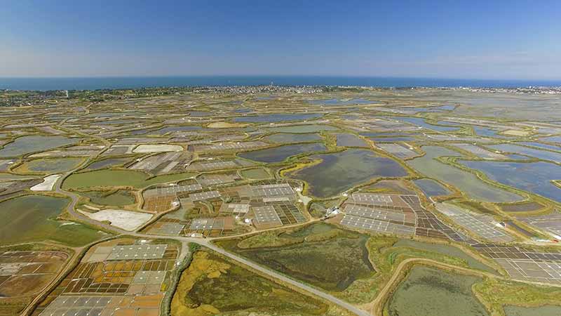 Les marais salants de Guérande